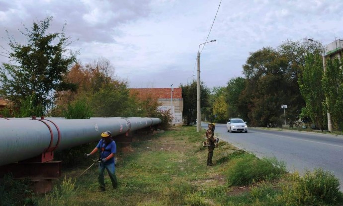 В Астрахани за месяц скосили более 55 га сорной растительности