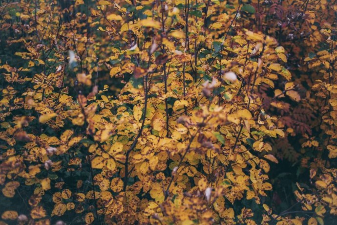 В Пермском крае ожидается похолодание до -9 градусов