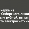Пенсионерка из Усолья-Сибирского лишилась 740 тысяч рублей, пытаясь заменить электросчетчик