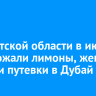 В Иркутской области в июле подорожали лимоны, женские туфли и путевки в Дубай
