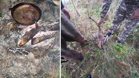 Браконьер из Челябинской области пожарил и съел лебедя