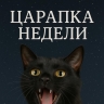 Царапка недели: не грызи нервы — грызи препятствия