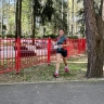 Соревнования по спортивному ориентированию прошли в Ярославле