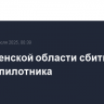 В Смоленской области сбиты еще два беспилотника