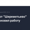 Аэропорт "Шереметьево" приостановил работу