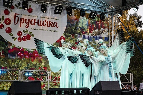 В Приамурье осенью проведут фестиваль «Таежная брусничка»