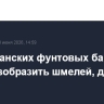 На британских фунтовых банкнотах могут изобразить шмелей, дятлов и лис