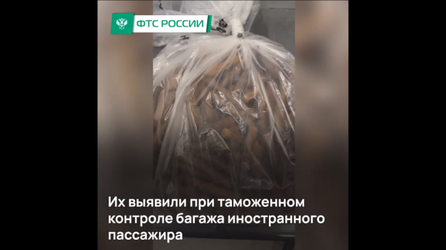 Контрабанду кубинских сигар пресекла российская таможня