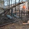 Последствия непогоды полностью ликвидированы в Москве