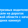 156 нетрезвых водителей задержали на дорогах Иркутской области с начала новогодних каникул