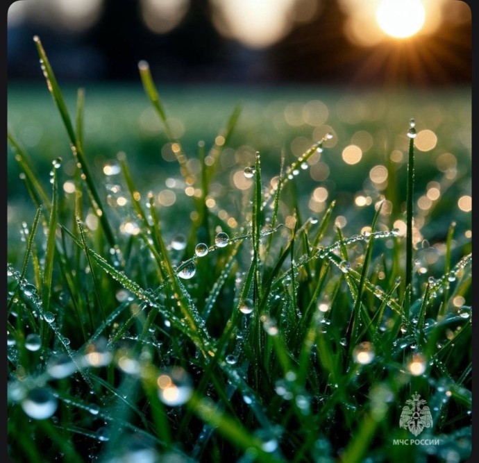 На северо-востоке Башкирии ожидается дождь со снегом
