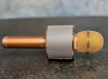 Ольга Бузова заявила, что хочет выступить на «Интервидении»