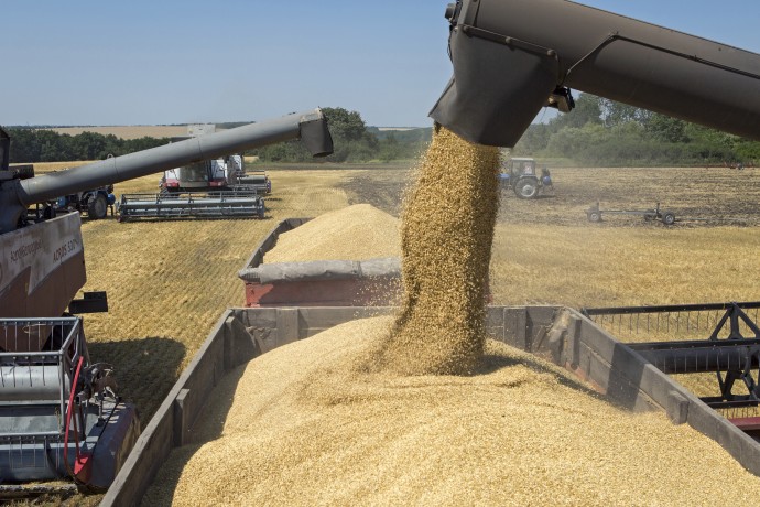 Минсельхоз: Россия поставляет продукцию АПК в 160 стран