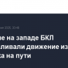 В Москве на западе БКЛ останавливали движение из-за человека на пути