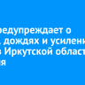 МЧС предупреждает о грозах, дождях и усилении ветра в Иркутской области 27 июля