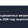 Число выдворенных мигрантов в Москве в 2026 году выросло вдвое