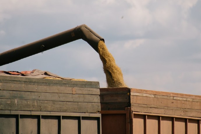 Пензенская область демонстрирует рекордные показатели в сельском хозяйстве Пензенская область демонстрирует рекордные показатели в сельском хозяйстве