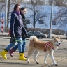 Синоптик Шувалов: Тепло в Москву вернется на выходных