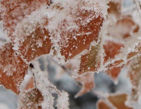 В Башкирии прогнозируют мокрый снег