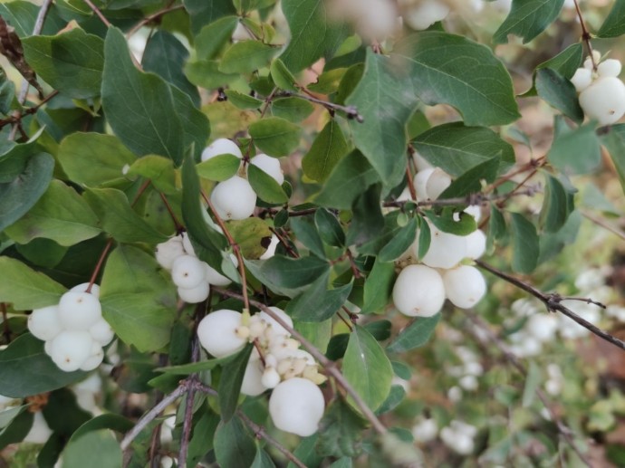 В Башкирии конец ноября и декабрь будут аномальными
