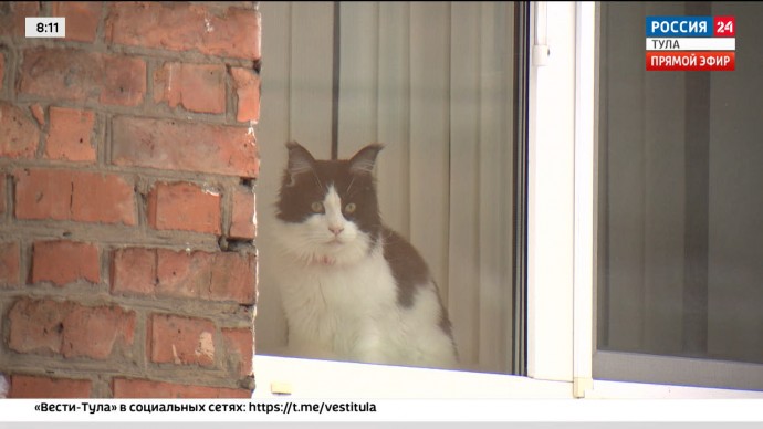 Тульская область – первый Pet-friendly регион