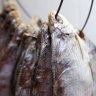 Малоизвестная и вкусная рыба массово зашла в Волгу из Каспия, но можно ли ее ловить