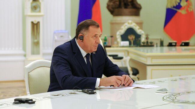 Додик обсудил с Путиным рассмотрение ситуации в БиГ на СБ ООН