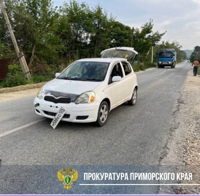 Десятилетний ребёнок попал под колёса в райцентре Приморья