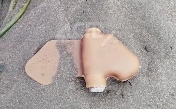 "Смотрите под ноги": сахалинец сообщил о найденной у моря мины "Лепесток"