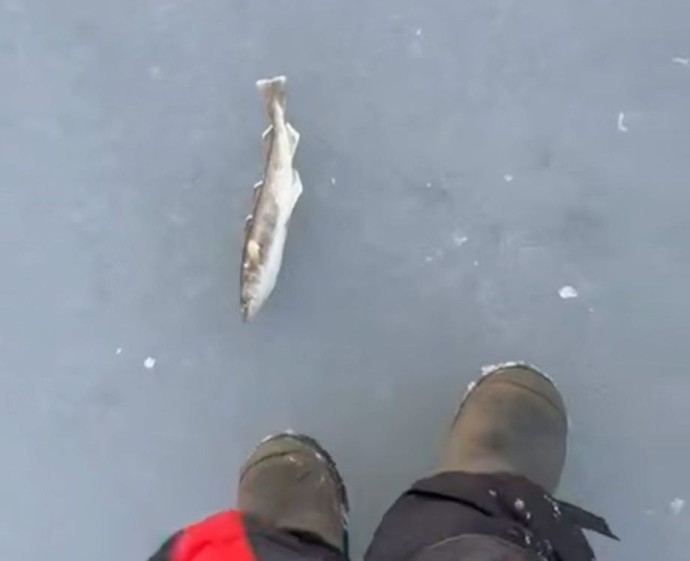 Ледяная ловушка: спасатели бьют тревогу во Владивостоке Ледяная ловушка: спасатели бьют тревогу во Владивостоке