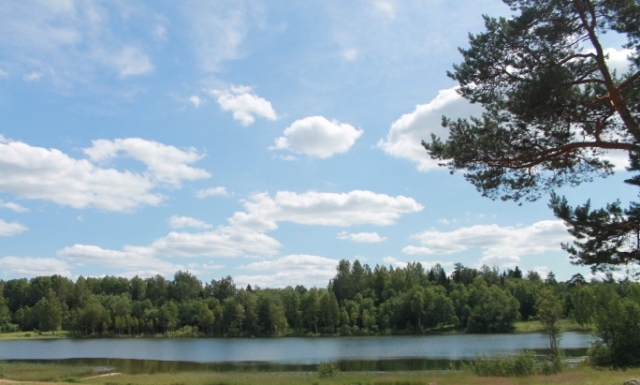 Иностранцы приезжают в Новгородскую область, чтобы отдохнуть на природе