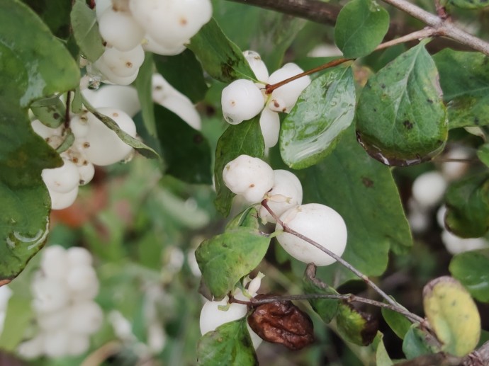 В Башкирии в конце осени и начале зимы ожидается аномальная погода В Башкирии в конце осени и начале зимы ожидается аномальная погода