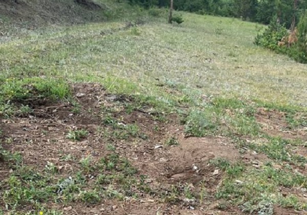 В Бурятии владельца сельхозучастка заставили убрать свою помойку