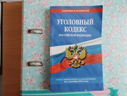 Рецидивист украл из магазина товары на крупную сумму