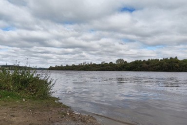 Реки Кировской области заполонили мальками