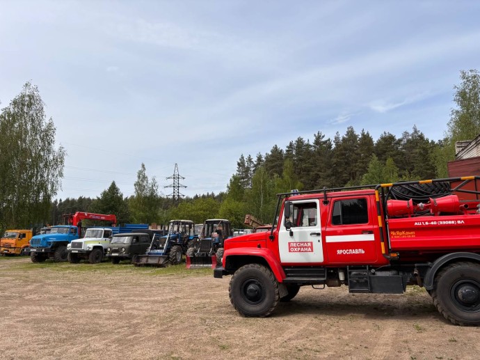 Пожароопасный сезон в Ярославской области прошел без возгораний на территории леса