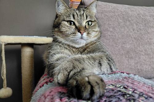 Планы Рыб будут часто меняться, Ракам в решении дел поможет философия пофигизма Планы Рыб будут часто меняться, Ракам в решении дел поможет философия пофигизма