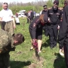 В Курске у здания Госавтоинспекции заложили «Сад Победы»