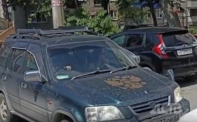 "Тебе телефон сломать?": автомобилистка прорвалась против шерсти по "односторонней" дороге в Южно-Сахалинске