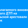 Предполагаемого виновника массового ДТП на Байкальской арестовали на 14 суток