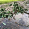 Стало известно о пострадавших из-за урагана в Горловке