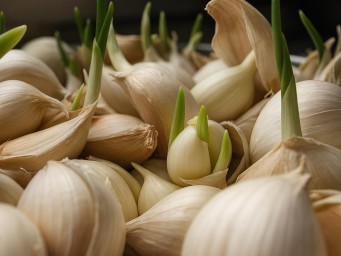 Экстракт чеснока показал снижение HbA1c у пациентов с диабетом