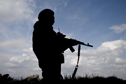 В Германии отреагировали на заявление Путина о перемирии