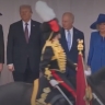 Конь почётного караула испражнился перед Трампом и Карлом III в Британии