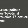 В Усольском районе водитель Toyota Ist насмерть сбил 17-летнего пешехода