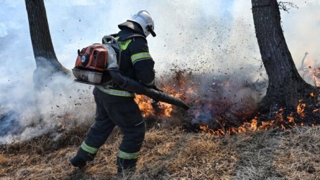 В России потушили 45 природных пожаров за сутки
