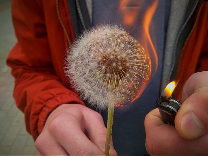 Костромич отдал соседу 2 миллиона после пожара Костромич отдал соседу 2 миллиона после пожара