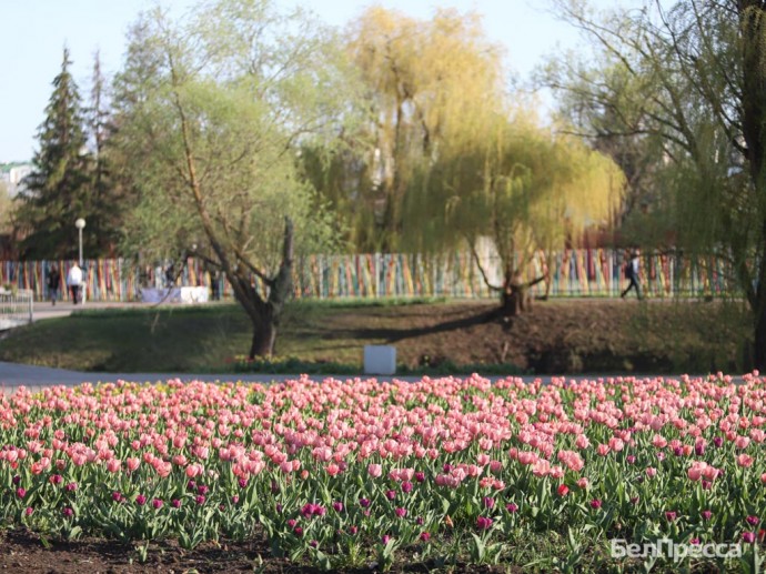 Как отдохнуть белгородцам 25–27 апреля