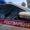 В Приамурье задержали подозреваемого в незаконной заготовке и перевозке древесины