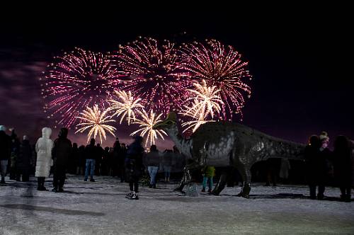 Соцсети Хэйхэ: 31 декабря над Амуром запустят новогодний салют